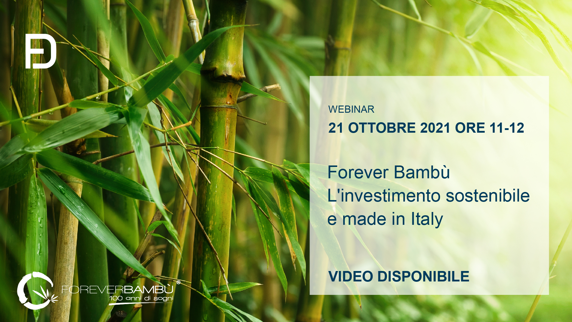 Forever Bambù – L’investimento sostenibile e made in Italy